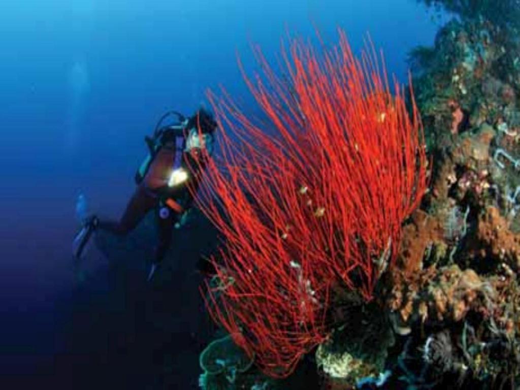 Tulamben Wreck Divers Resort & Restaurant Dış mekan fotoğraf