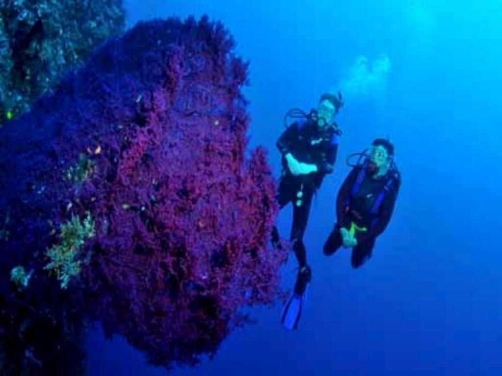 Tulamben Wreck Divers Resort & Restaurant Dış mekan fotoğraf