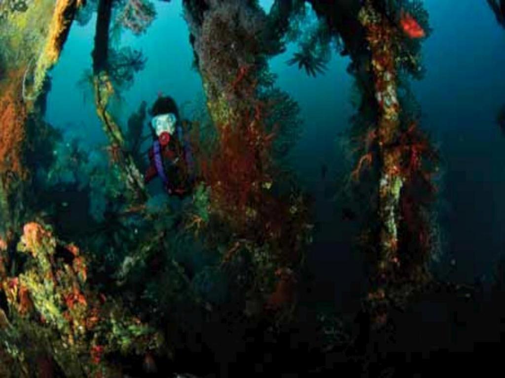 Tulamben Wreck Divers Resort & Restaurant Dış mekan fotoğraf