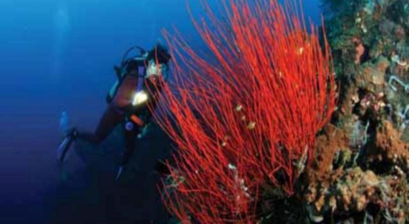 Tulamben Wreck Divers Resort & Restaurant Dış mekan fotoğraf